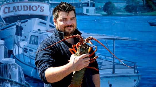 Sydney Fish Market guide, Alex Stollznow, can calm an agitated lobster by stroking its body from back to front.
