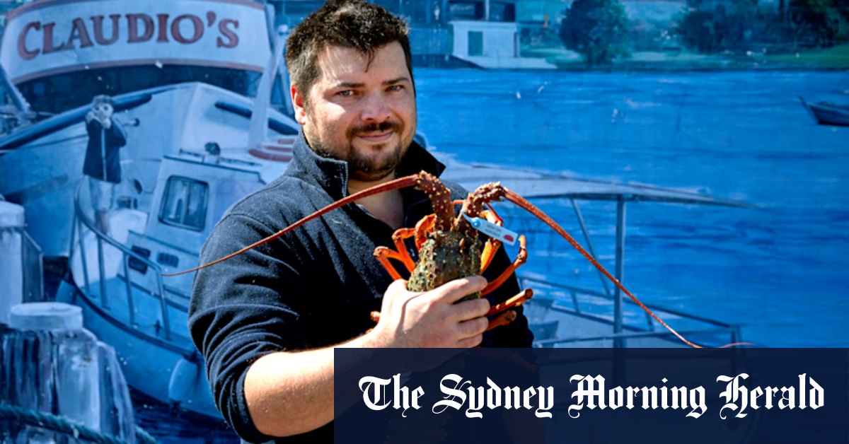 Lobster tales: Behind an Australian Christmas classic - Vimarsana News