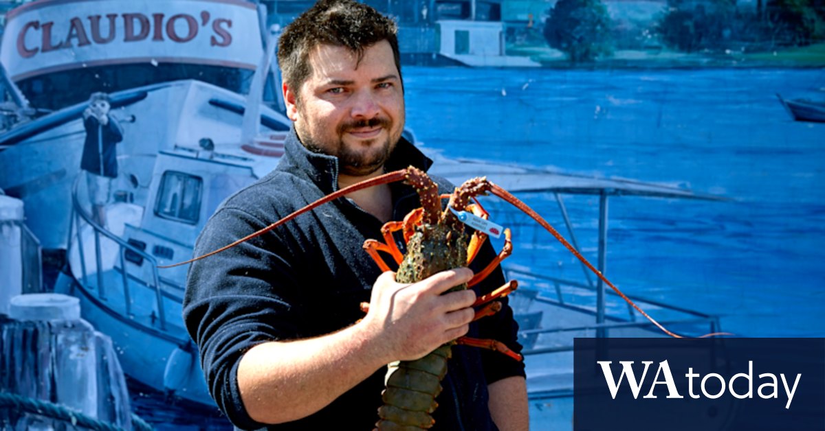 Lobster tales: Behind an Australian Christmas classic - Vimarsana News