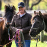 Wild about horses: One woman’s quest to save two brumbies