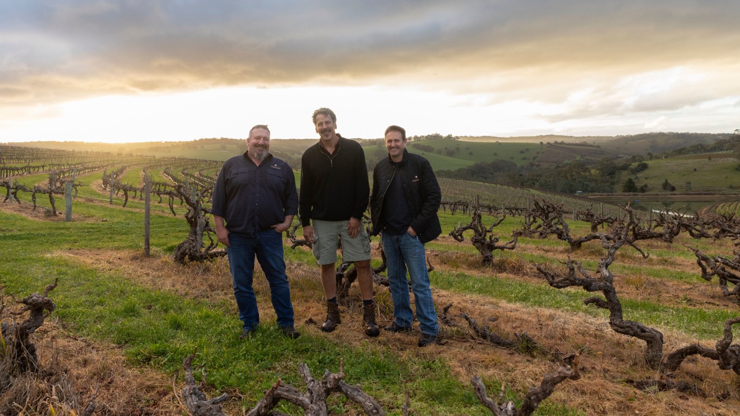 Hickinbotham Clarendon wines Why this top vineyard is ahead of