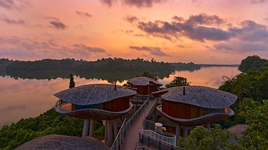Treehouses float above the canopy at Mandai Rainforest Resort by Banyan Tree.