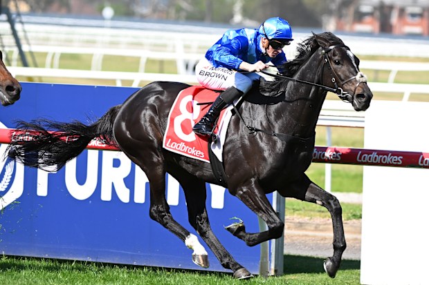 Melbourne Cup 2026 order of entry updates: Horses, barrier draw, how it ...