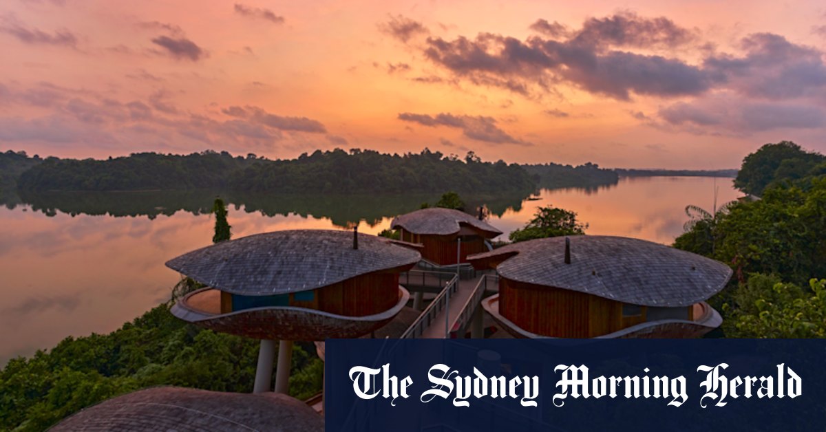 Singapore’s new jungle resort is for adults. Sort of