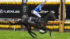 Betr sidestepped disaster when Gold Trip won last year’s Melbourne Cup.
