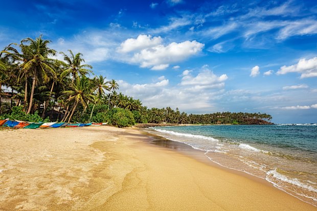 Mirissa Beach, a gorgeous sweep of sand without a single person on it.