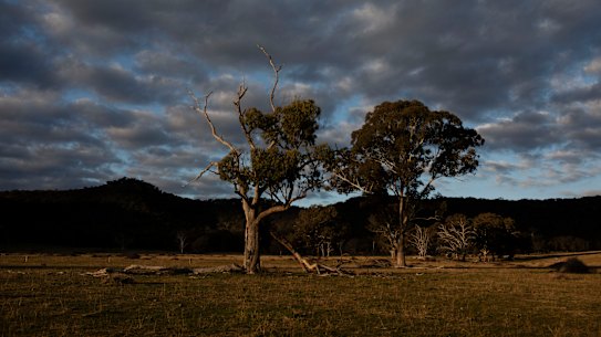 Cox Creek near the Wollemi National Park has been designated one of the new regions to be opened up for coal mining in NSW.