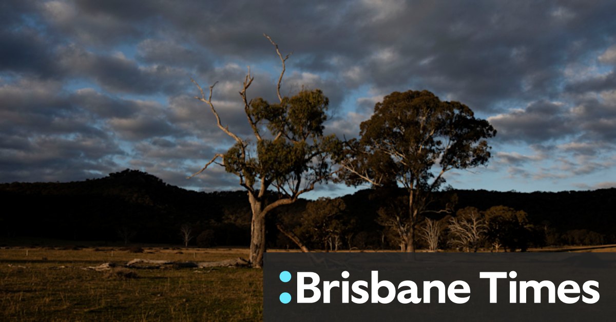 Government buys out Shenhua coal, curbs Dartbrook and opens up Wollar - Vimarsana News
