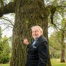 After watching his veteran father plant it 90 years ago, John returns to a great elm at the Shrine