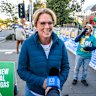 Zoe Daniel has requested a recount in Goldstein. 