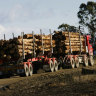 How VicForests hired a private investigator to tail an environmentalist