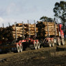 Logging future uncertain as Japanese giant Nippon closes Australia’s last white paper plant