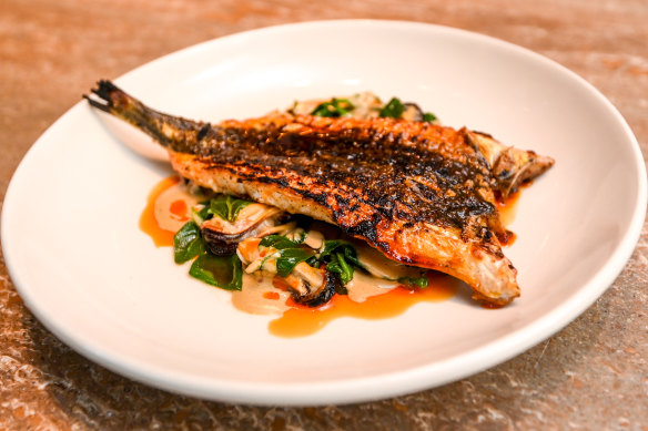 Wood-roasted butterflied rock flathead, with warrigal greens and mussels.