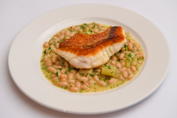 Red emperor fillet on white bean ragu with braised fennel.