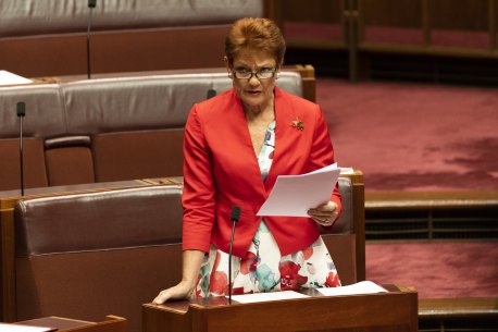 Pauline Hanson out of Aston byelection to help Libs, Labor launches attack ads