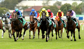 Race-by-race preview and tips for Tamworth on Monday