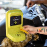 The trial of Victoria’s new myki-free payment system on Wangaratta’s bus network 