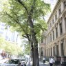 The Melbourne Club on Collins Street.