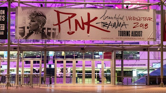 Pink fans disappointed over singer's cancellation but say health comes ...