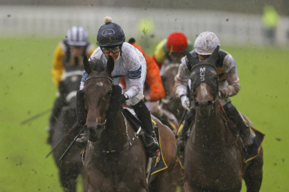 Montabot (right) chases home Harpo Marx when the pair last met a fortnight ago.