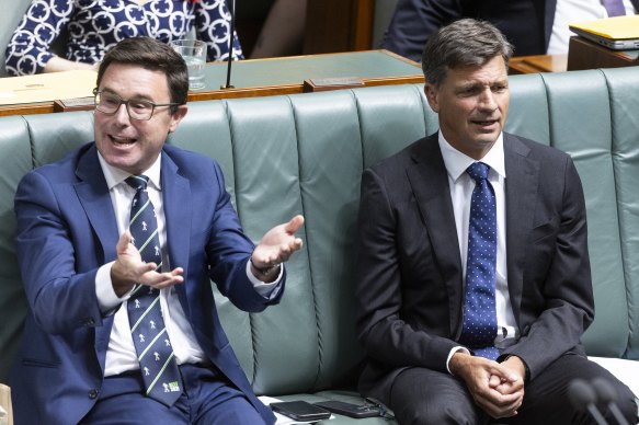 Nationals leader David Littleproud and shadow treasurer Angus Taylor during question time last month.