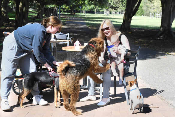 Dog owner Rachel Fulcher and daughter Isabella with their dog Freddie and friends at Hawthorne Canal Reserve in Leichhardt.