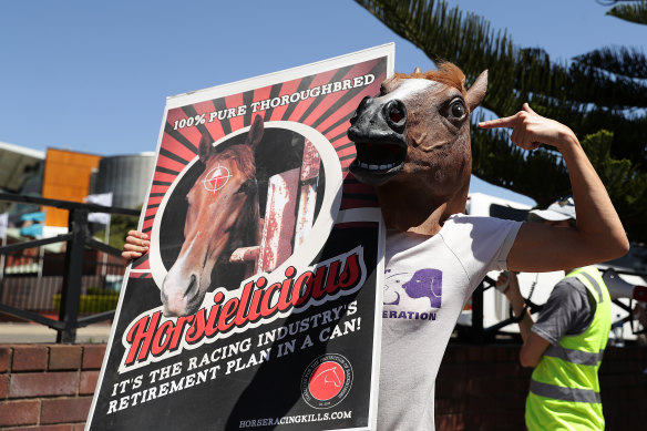 A protester wearing a horse's head outside Royal Randwick racecourse in Sydney earlier this month.