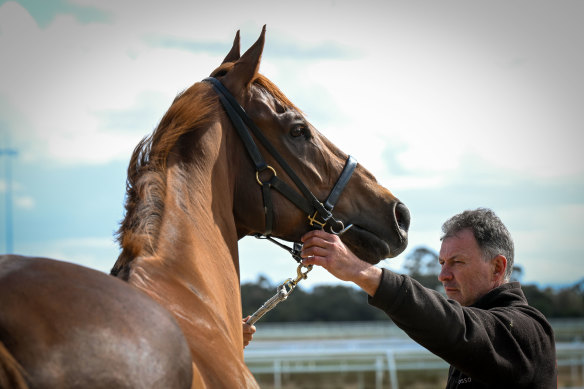 Pinstriped has gone from being an $80,000 weanling to a winner of more than $1 million in prizemoney.