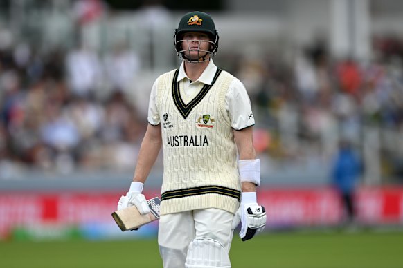Steve Smith after being dismissed in the World Test Championship.
