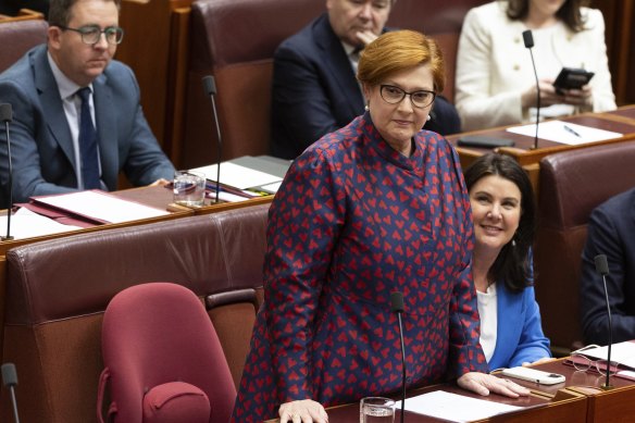 Senator Marise Payne during her valedictory speech in the Senate.