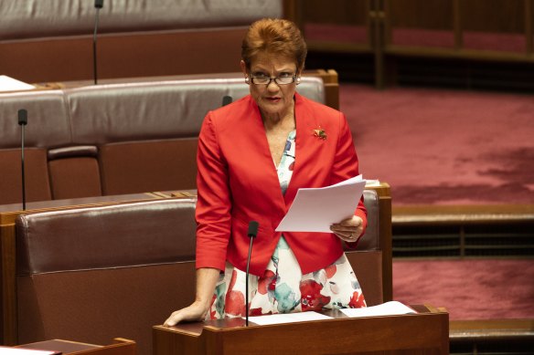 Pauline Hanson wants to block Labor from gaining another seat in the House of Representatives.