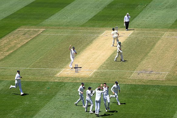 The moment CEO boss Todd Greenberg knew he was staring at a disastrous two-day Test.