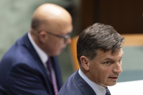 Opposition Leader Peter Dutton and shadow treasurer Angus Taylor are facing questions from their own party about their economic agenda.