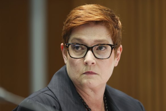 Foreign Minister Marise Payne concedes she probably would have joined the statement had she been consulted.