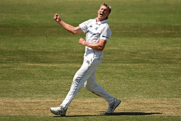 Will Sutherland celebrates a wicket for Victoria.