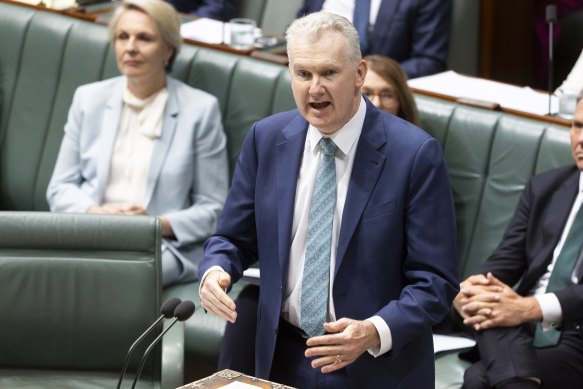 Arts Minister Tony Burke.