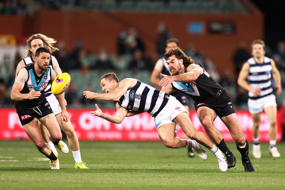 Joel Selwood has backed the Cats to bounce back. 