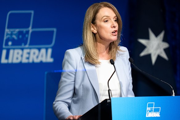 NSW Liberal leader Kellie Sloane is a first-term MP thrust into the leadership before her choosing.