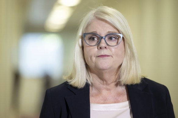 Shadow Minister for Home Affairs  Karen Andrews has proposed new tougher cyber extortion laws.