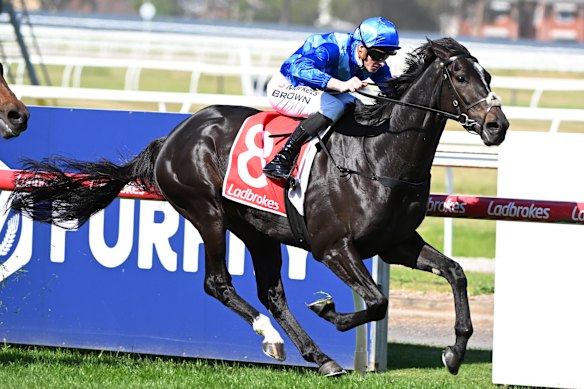 Point of Law charges to Geelong Cup victory.