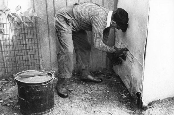 Sturmey removing a pan from an outhouse. 