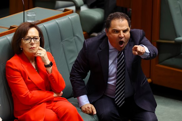 Tony Pasin shouts across the chamber for Anthony Albanese to withdraw a comment calling him a “moron”.