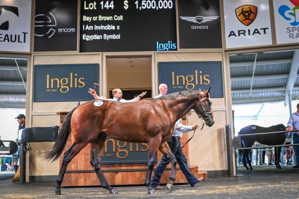 Ciaron Maher paid $1.5 million for an I Am Invincible colt of Egyptian Symbol to top the opening day of the Inglis Easter Sale