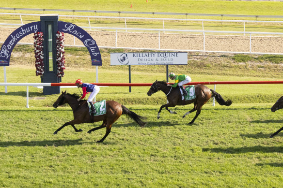 Sweet Deal will look for a group 1 finish to her career after taking out the Hawkesbury Crown.