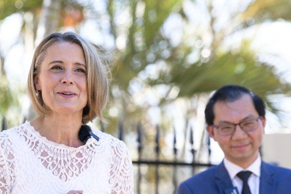 Labor senator Kristina Keneally speaks about her decision to contest the lower house seat of Fowler at the next federal election.