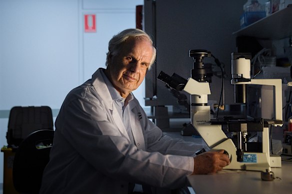 Professor Tony Cunningham said increased shingles awareness might be contributing to more reported cases.