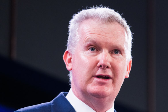 Employment Minister Tony Burke will introduce the new draft legislation  into parliament next week. 