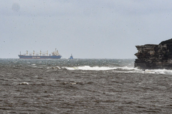 The cargo ship sitting  off the Sydney coast on Wednesday morning. 