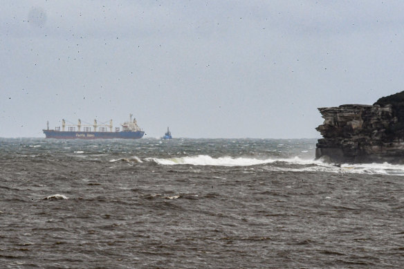 The cargo ship sitting  off the Sydney coast on Wednesday morning.