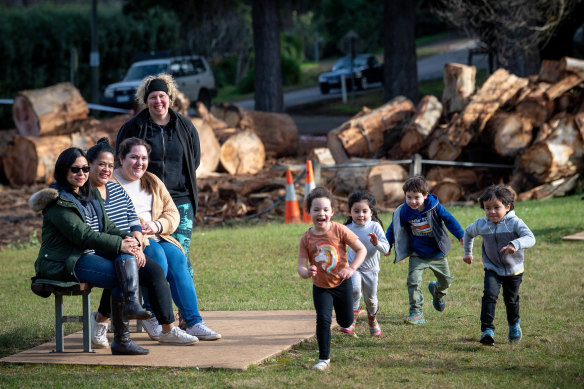 Mount Dandenong residents (from left) Nessa Aledo, Karen Placido, Jody Howell and Christine Stewart with their children Lucy, Lily, Riley and Hugo.